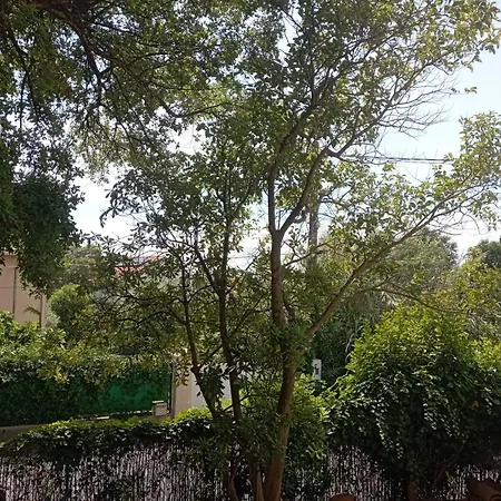 Ground Floor 2 St-raphael דירה *