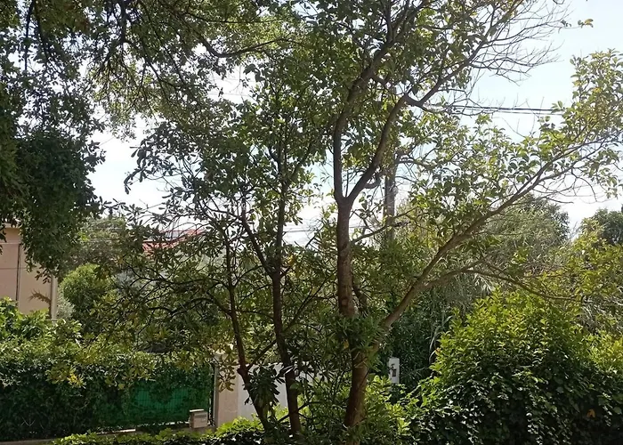 Ground Floor 2 St-raphael Apartamento *